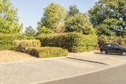 Photo of parking spaces with hedges set behind