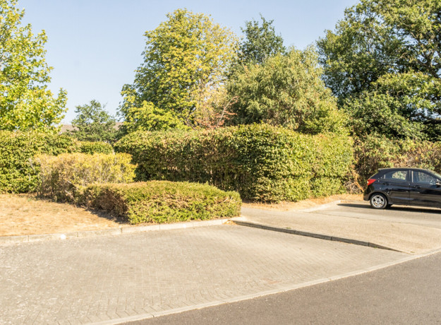 Photo of parking spaces with hedges set behind