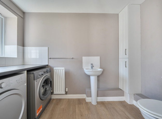 Utility room with washing machine, tumble dryer, toilet and freestanding sink