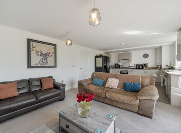 1423348 12 69B164f617c14