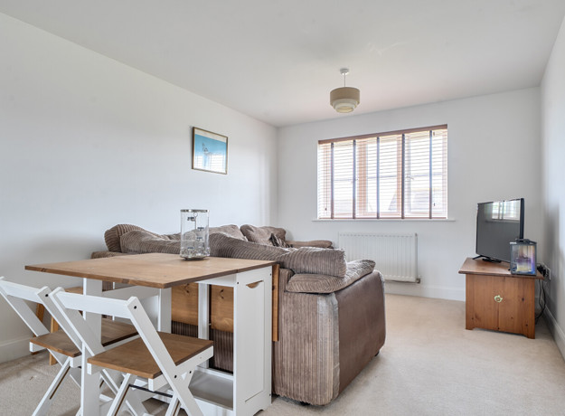 Living room with sofa, dining table with chairs, TV and window.