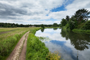 Bordon (2)