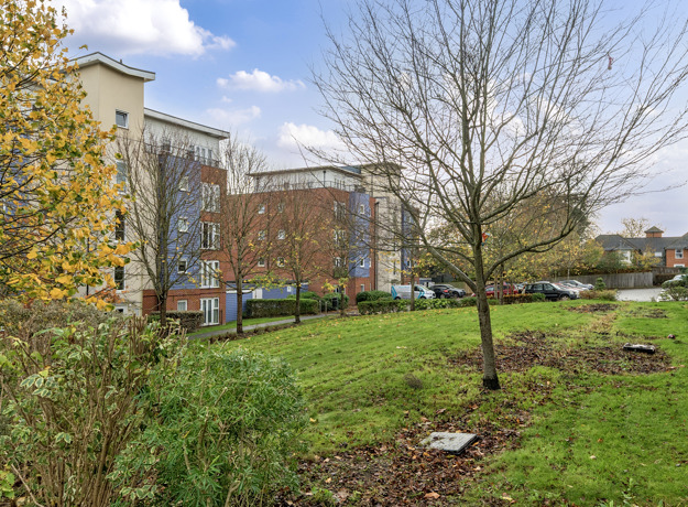 1381635 1 69146C72ab30a