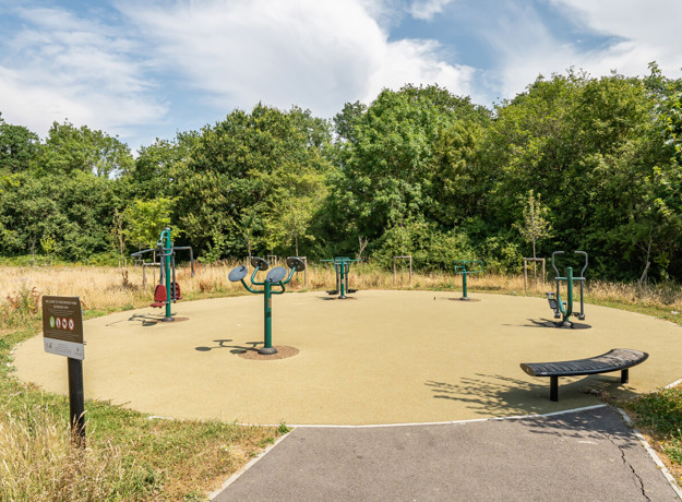 Outdoor exercise area with fitness equipment beside a tree-lined green space.