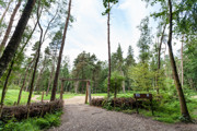 Bordon Inclosure (15)