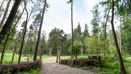 Bordon Inclosure (15)
