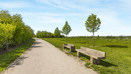121 Lowres LA Photography Orchards Abri 2S2A0977 (1)