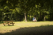 Queen Elizabeth Country Park (12)