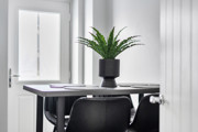 Dining area with table, chairs, and potted plant near window.