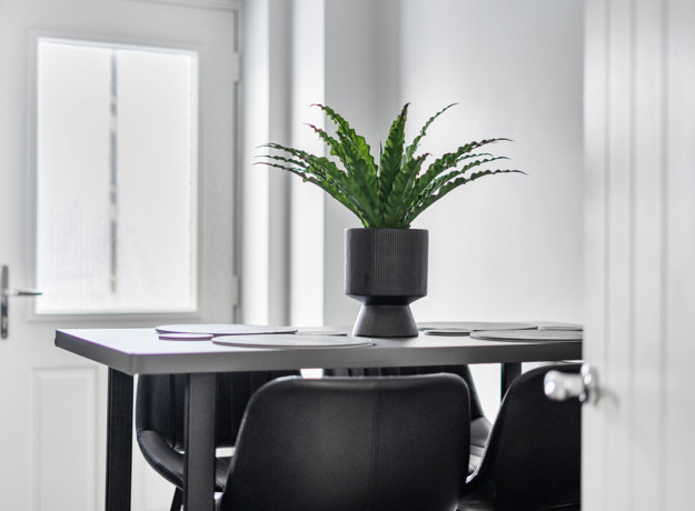 Dining area with table, chairs, and potted plant near window.