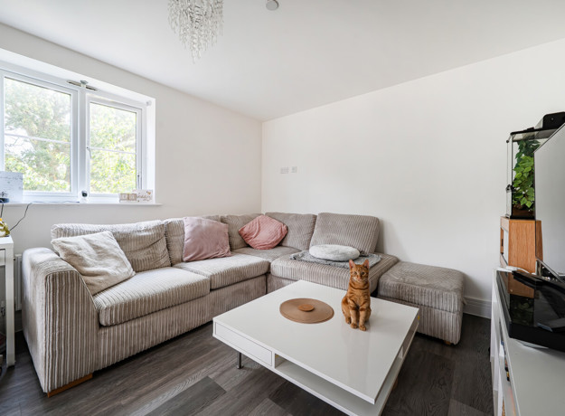 Living room with sofas, coffee table, TV and window overlooking the exterior.